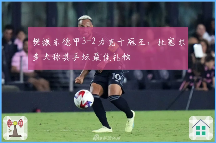 樊振东德甲3-2力克十冠王，杜塞尔多夫称其乒坛最佳礼物