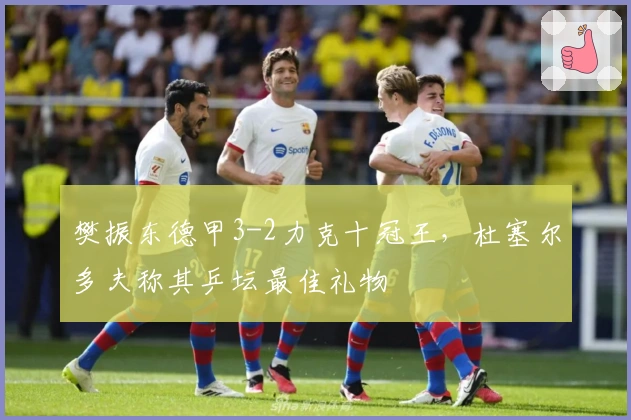 樊振东德甲3-2力克十冠王，杜塞尔多夫称其乒坛最佳礼物