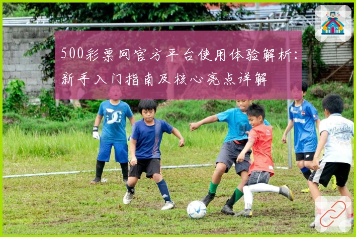 500彩票网官方平台使用体验解析:新手入门指南及核心亮点详解